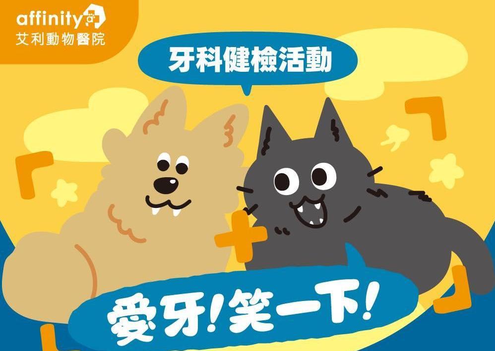 2026 牙科健檢活動開跑